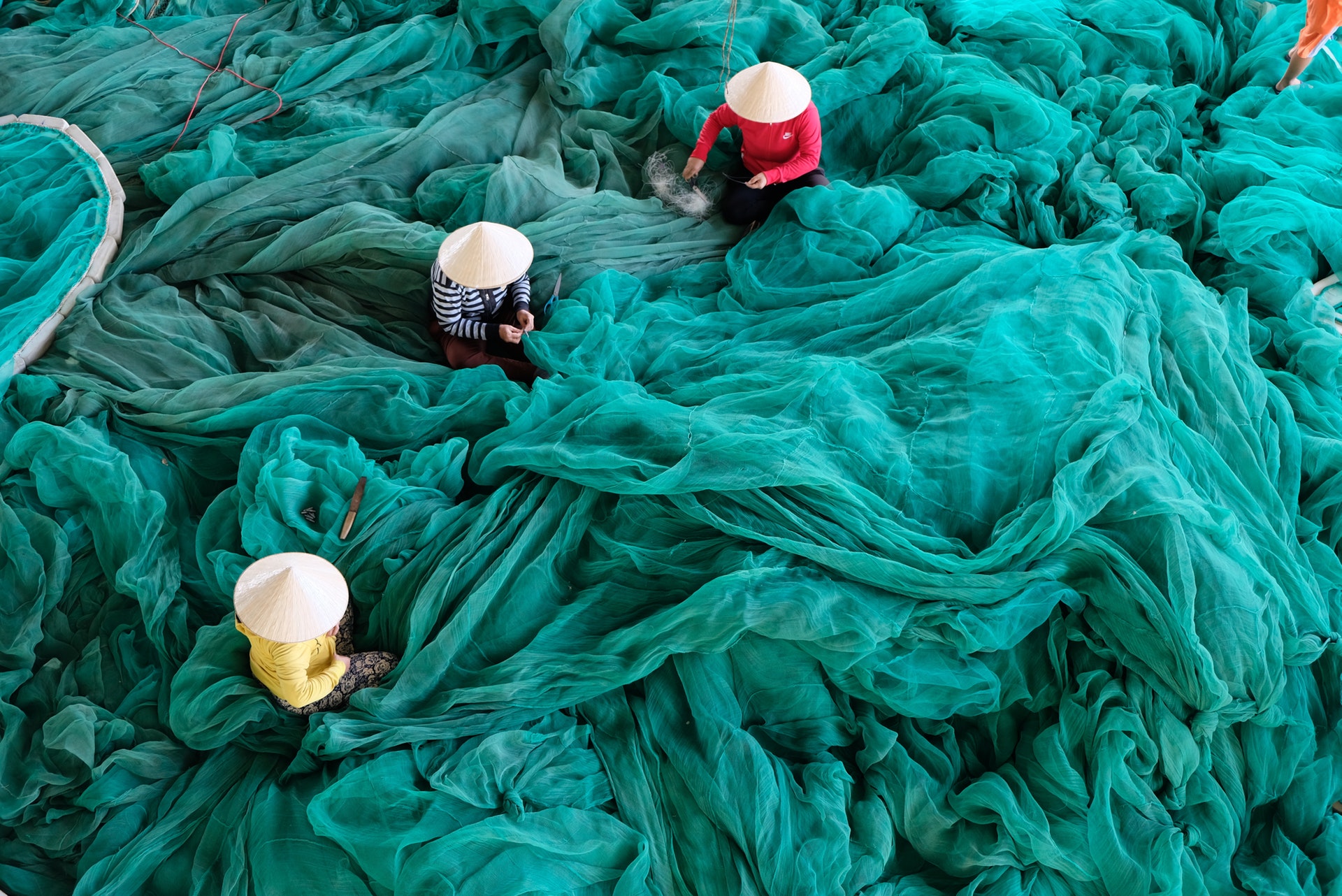 image by Gin Patin