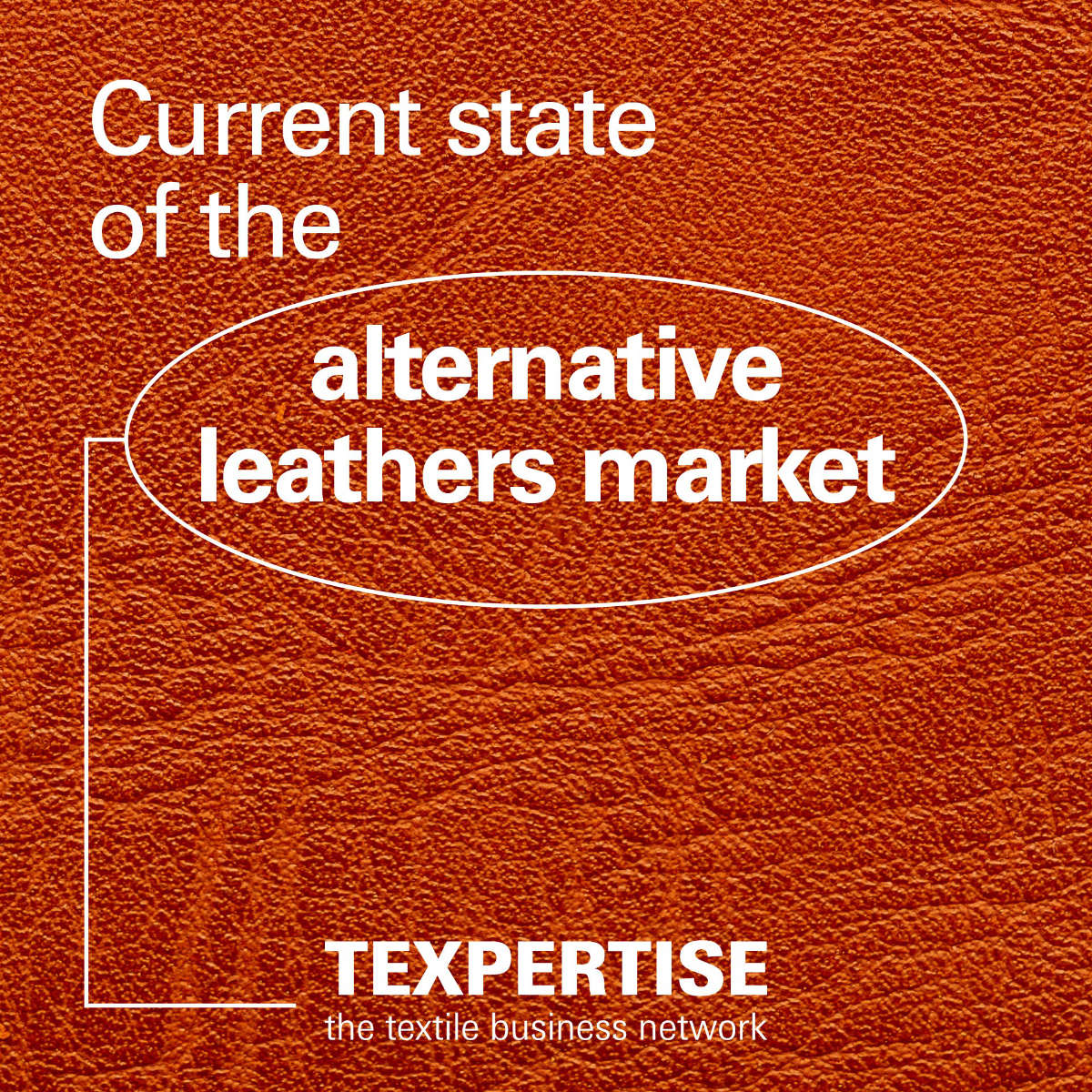 txp-alternative-leathers-teaser